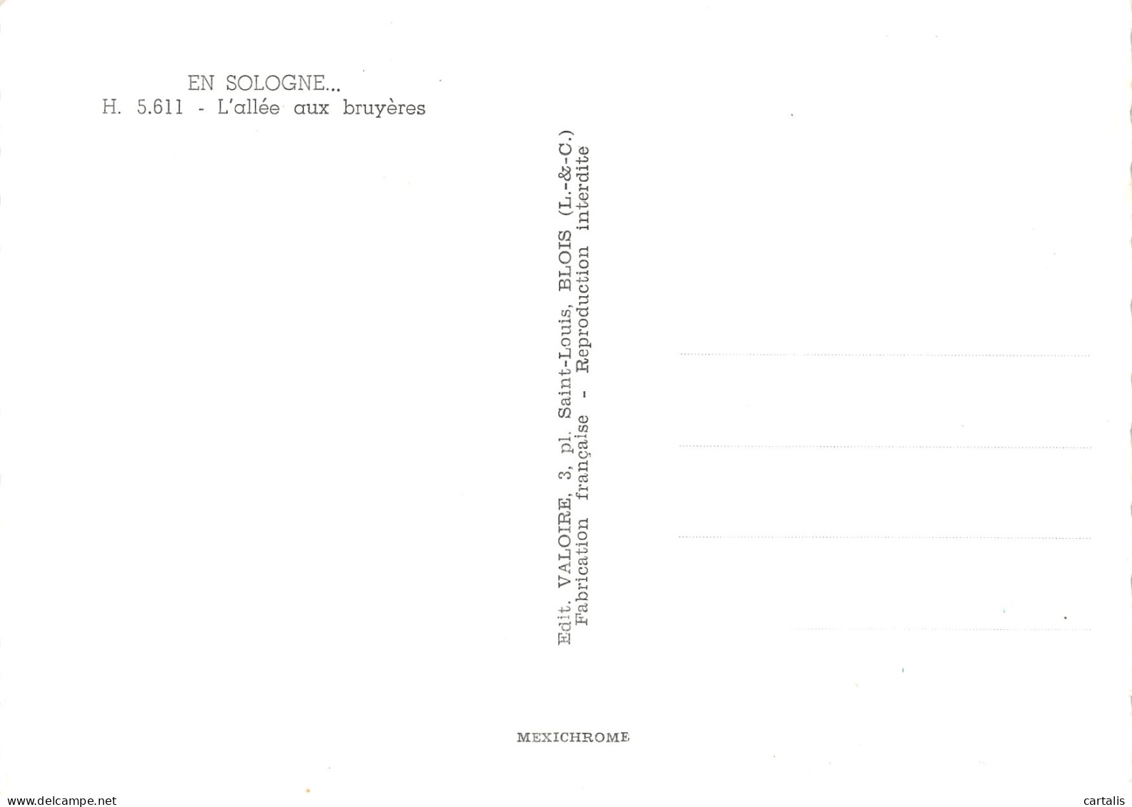 41-EN SOLOGNE-N°3830-C/0197 - Sonstige & Ohne Zuordnung