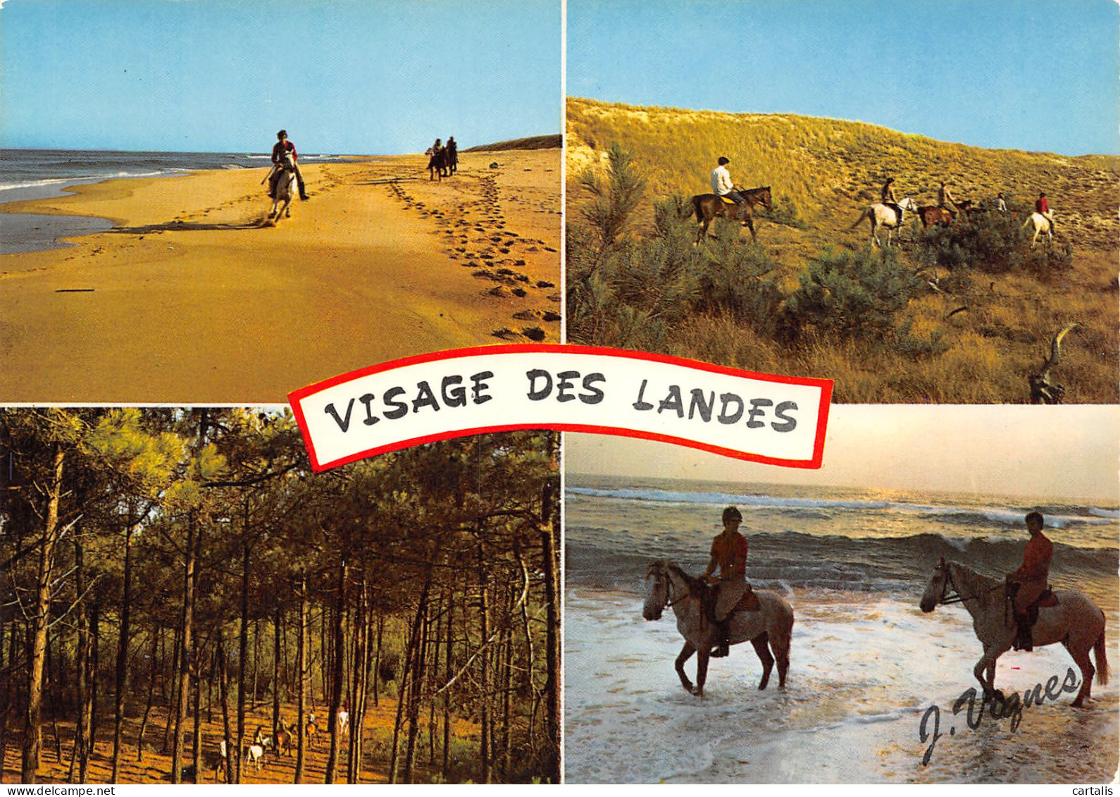 40-LES LANDES MULTI VUES-N°3831-A/0375 - Other & Unclassified