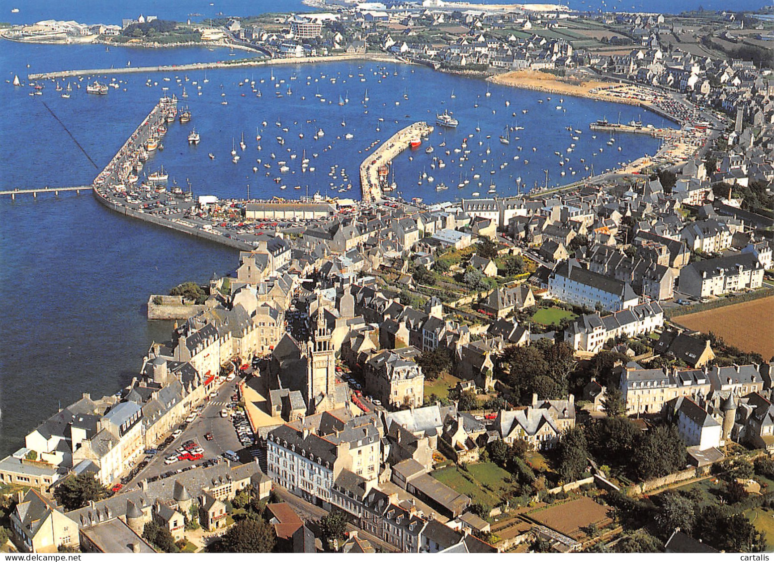 29-ROSCOFF-N°3831-A/0059 - Roscoff