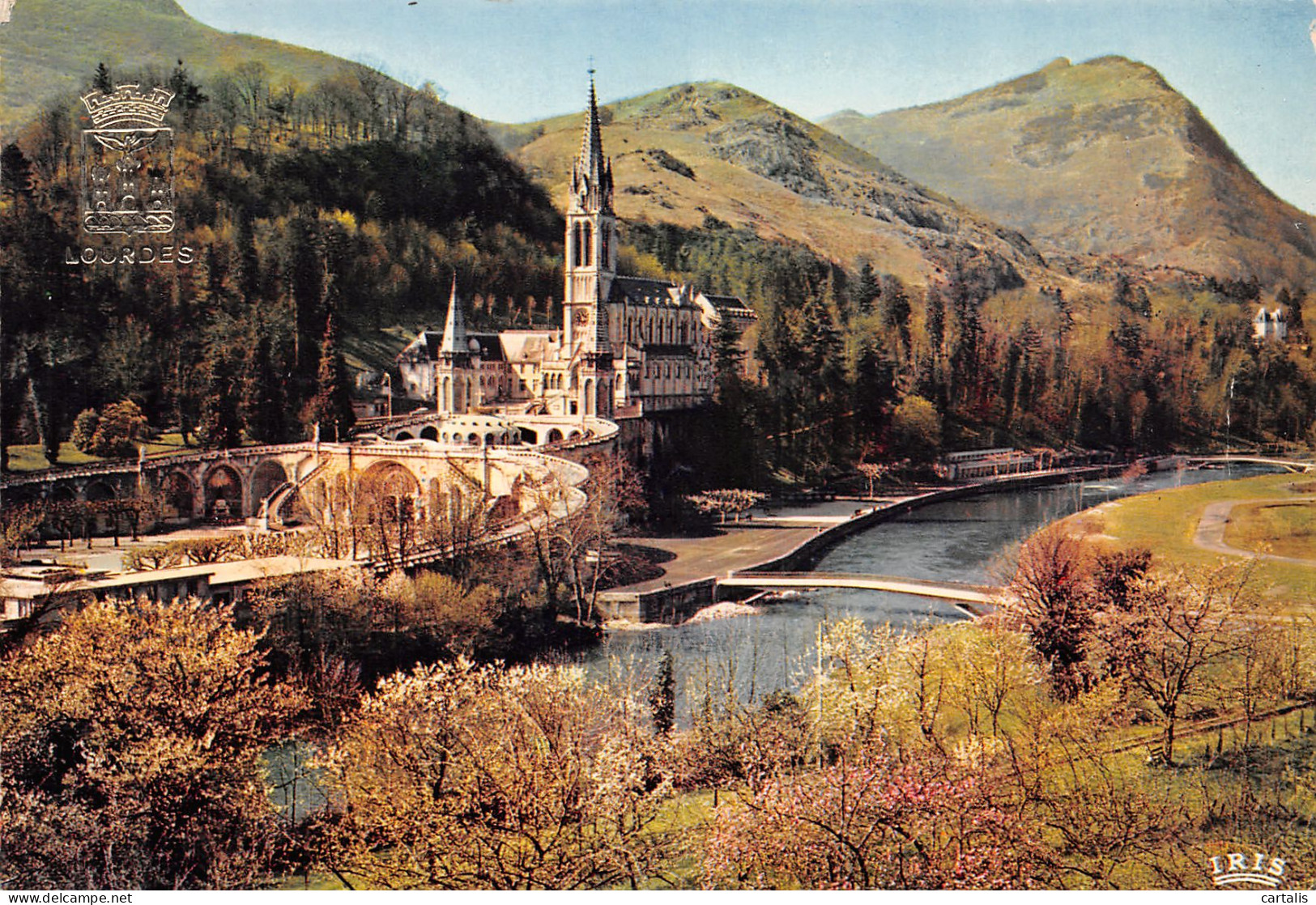 65-LOURDES-N°3831-A/0011 - Lourdes