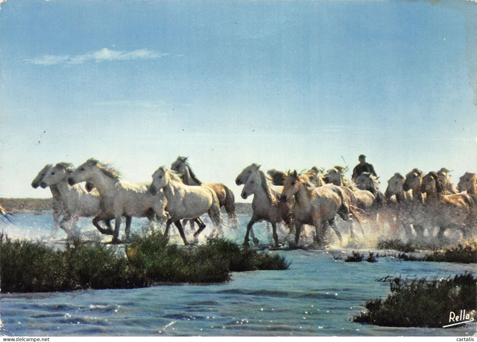 13-EN CAMARGUE-N°3830-D/0361 - Sonstige & Ohne Zuordnung