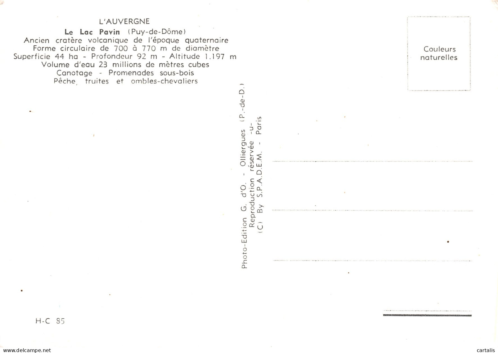 63-LE LAC PAVIN-N°3831-D/0195 - Other & Unclassified