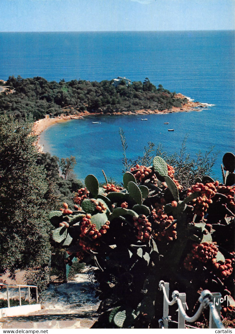 83-LA COTE D AZUR-N°3831-B/0363 - Other & Unclassified