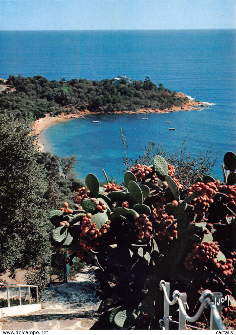 83-LA COTE D AZUR-N°3831-B/0359 - Andere & Zonder Classificatie