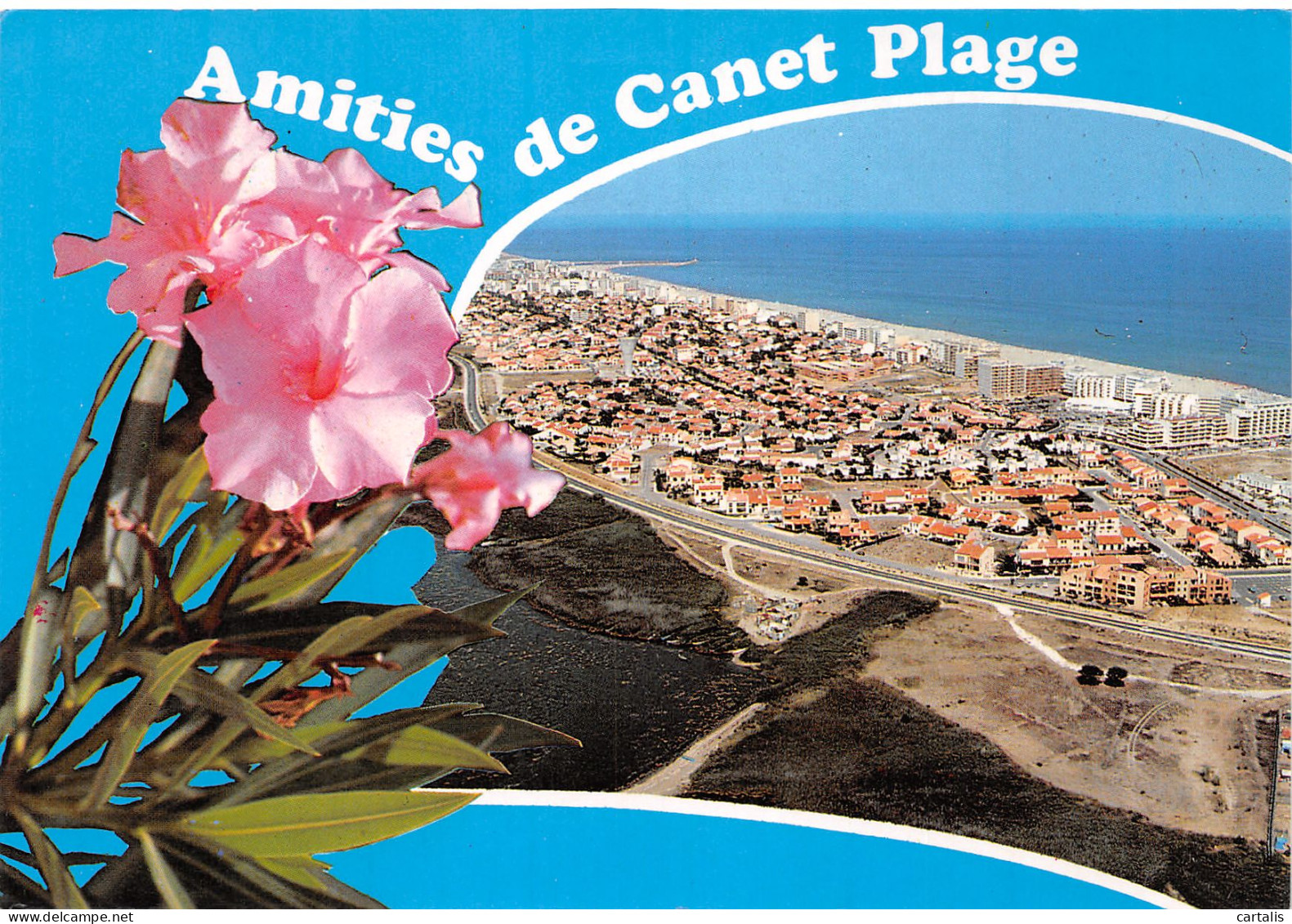 66-CANET PLAGE-N°3831-B/0245 - Canet Plage