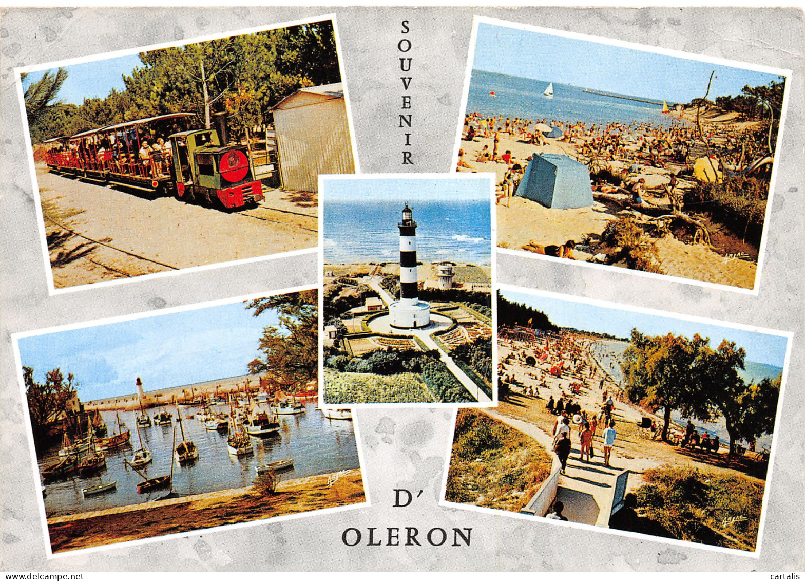 17-ILE D OLERON-N°3832-A/0001 - Ile D'Oléron