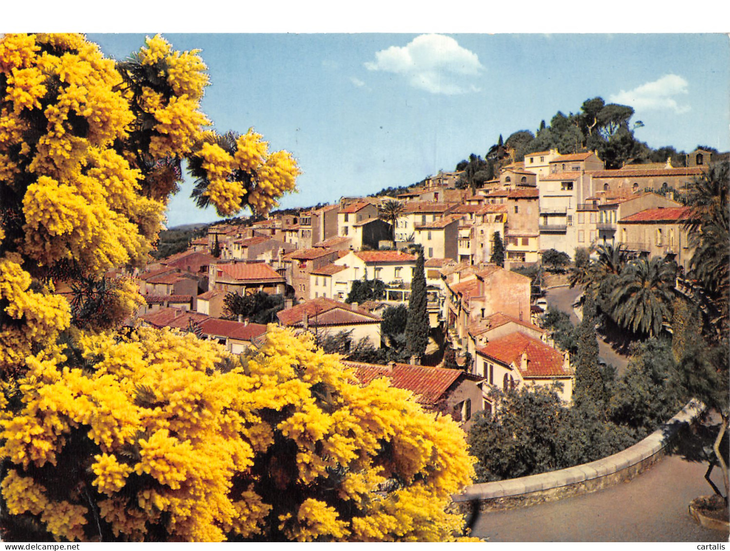 83-BORMES LES MIMOSAS-N°3832-C/0379 - Bormes-les-Mimosas