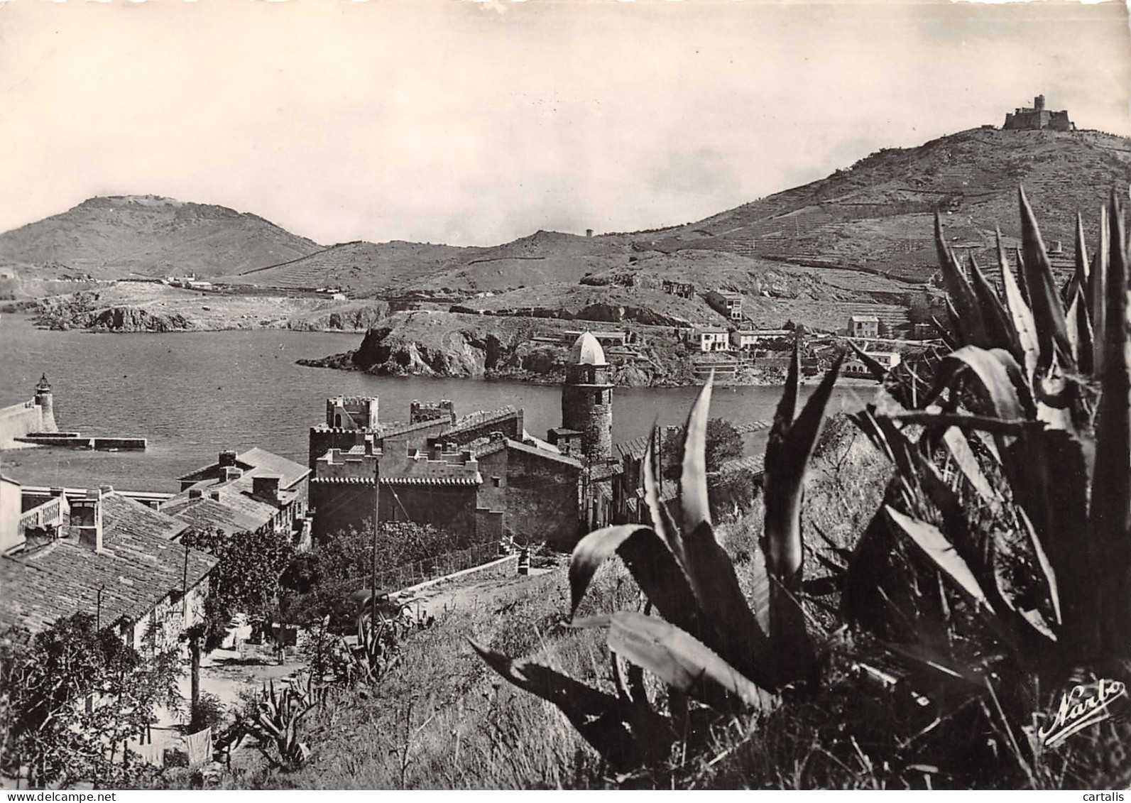 66-COLLIOURE-N°3832-B/0355 - Collioure