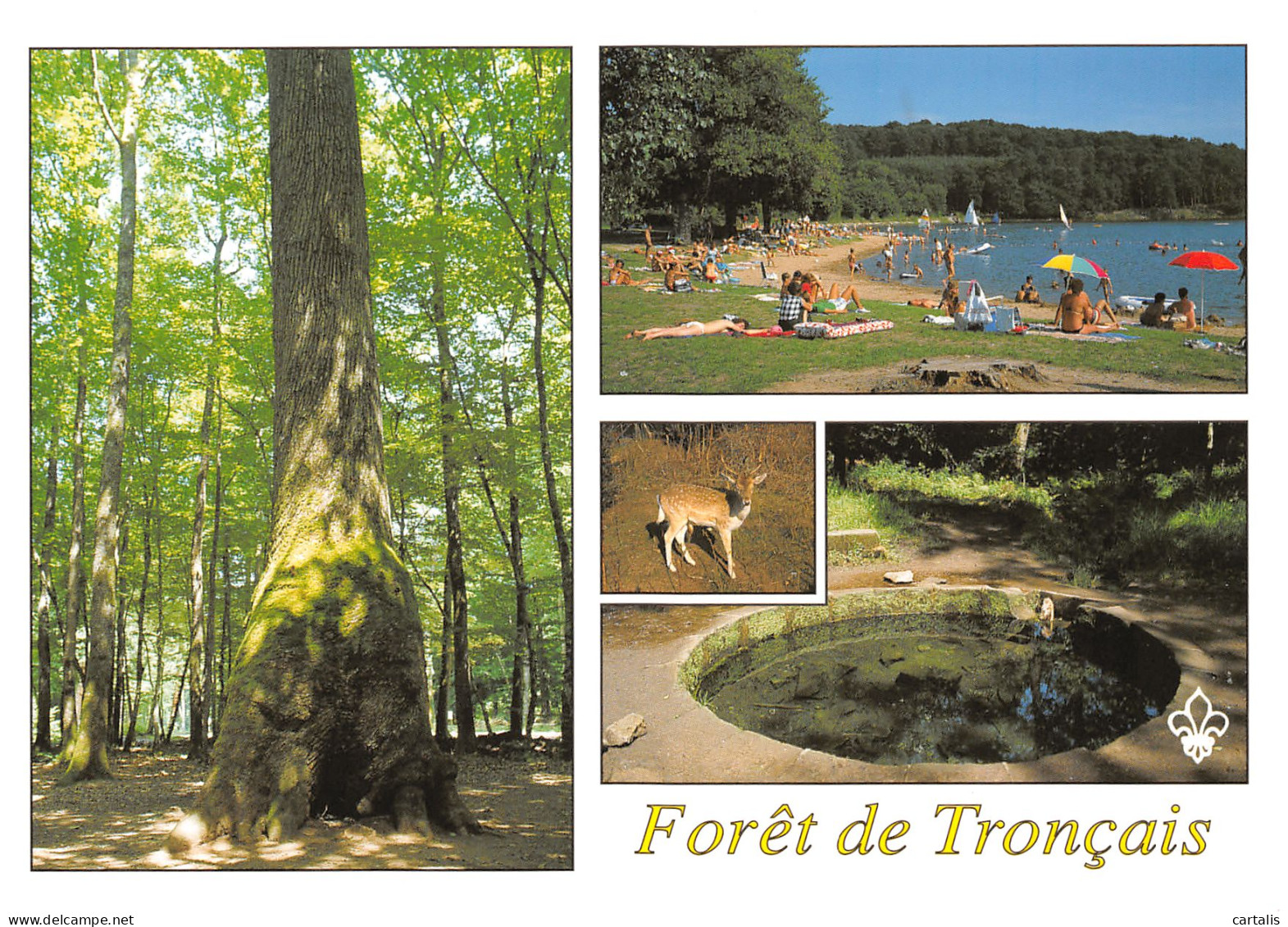 03-FORET DE TRONCAIS-N°3832-B/0301 - Other & Unclassified