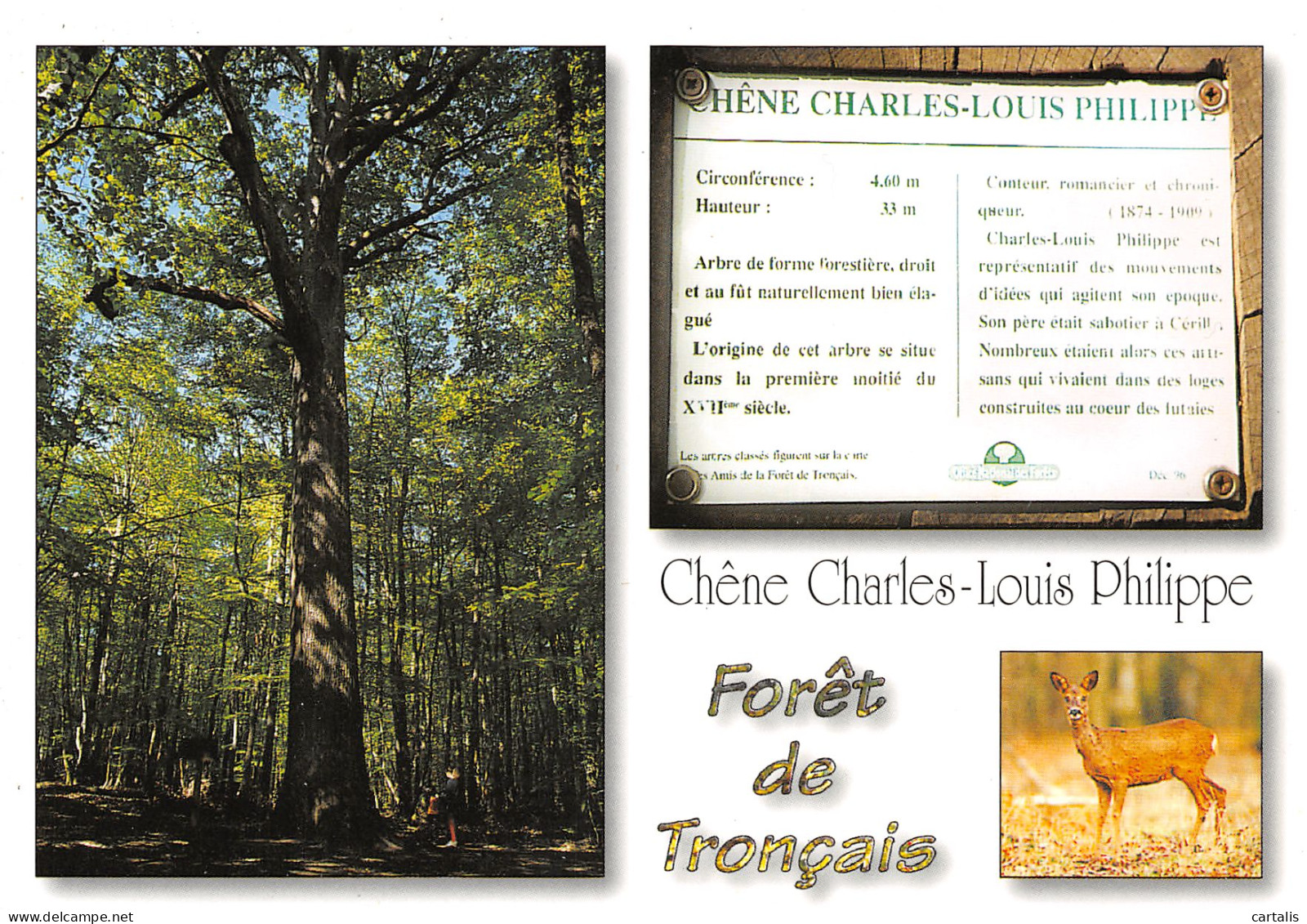 03-FORET DE TRONCAIS-N°3832-B/0293 - Other & Unclassified