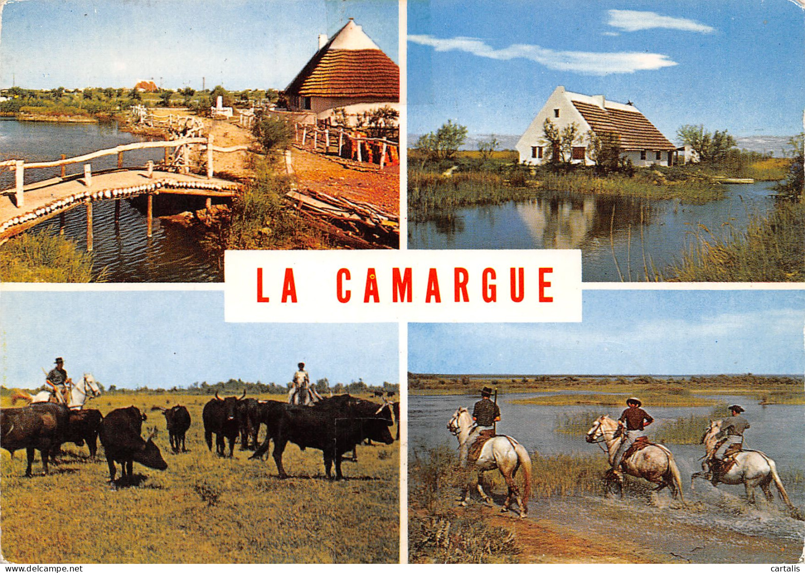 13-CAMARGUE-N°3832-B/0277 - Other & Unclassified