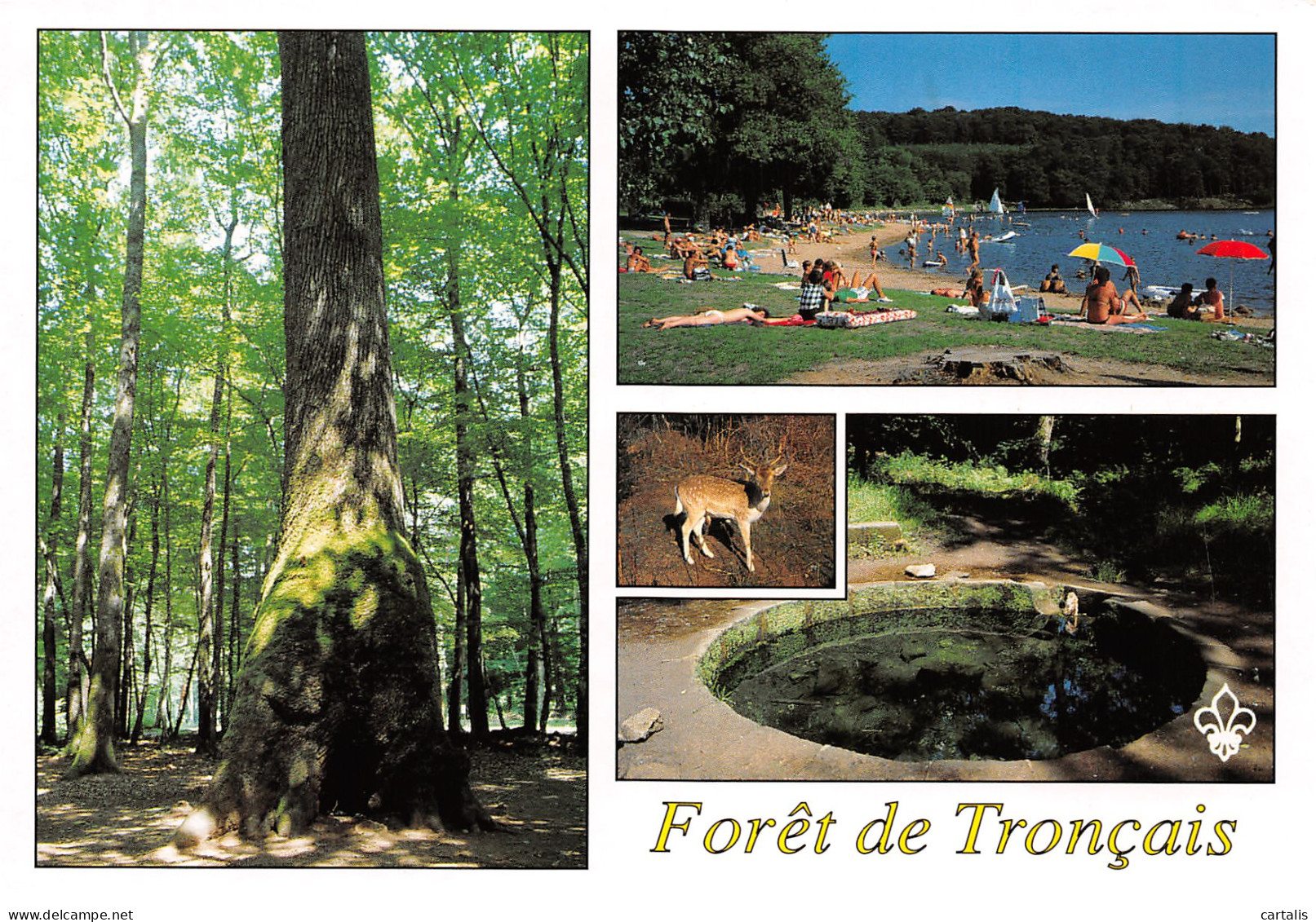 03-FORET DE TRONCAIS-N°3832-B/0209 - Other & Unclassified