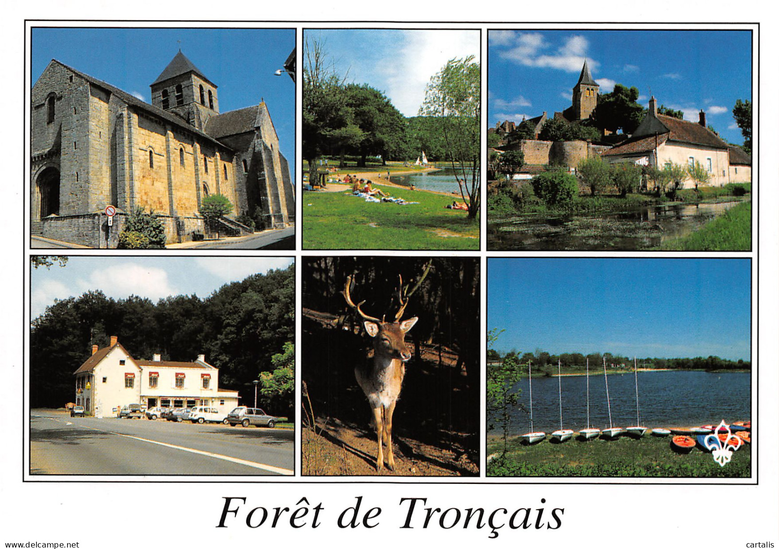 03-FORET DE TRONCAIS-N°3832-B/0211 - Sonstige & Ohne Zuordnung