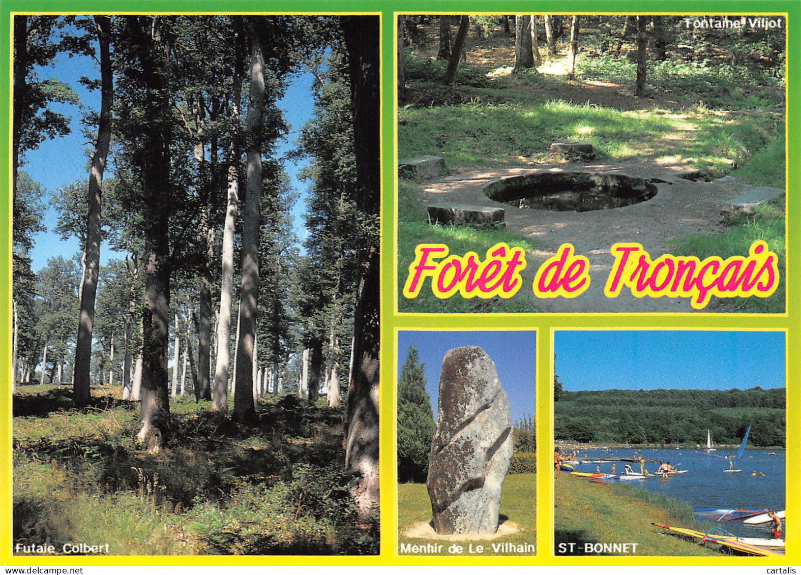 03-FORET DE TRONCAIS-N°3832-B/0169 - Otros & Sin Clasificación