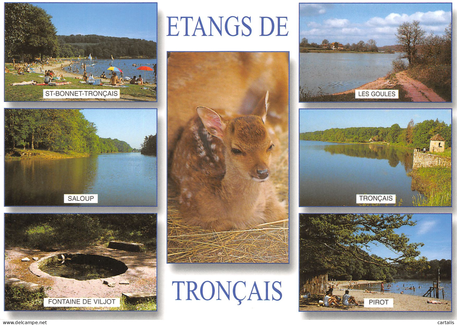 03-ETANGS DE TRONCAIS-N°3832-B/0175 - Other & Unclassified