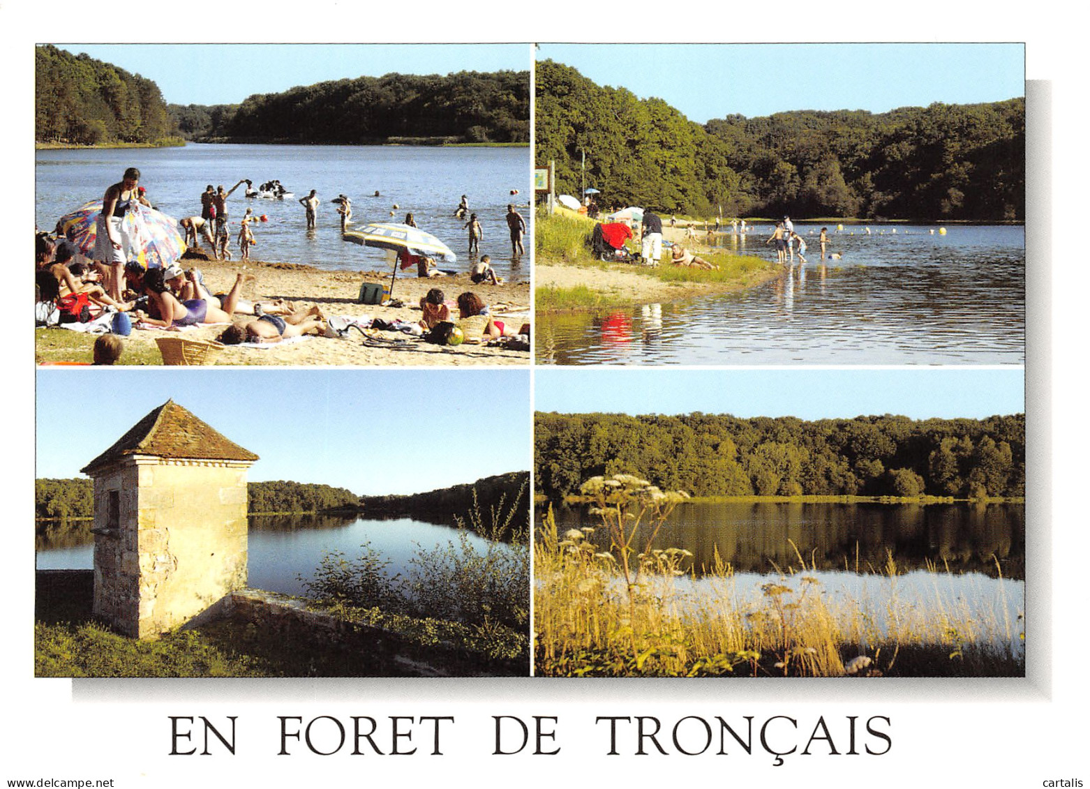 03-FORET DE TRONCAIS-N°3832-B/0173 - Other & Unclassified