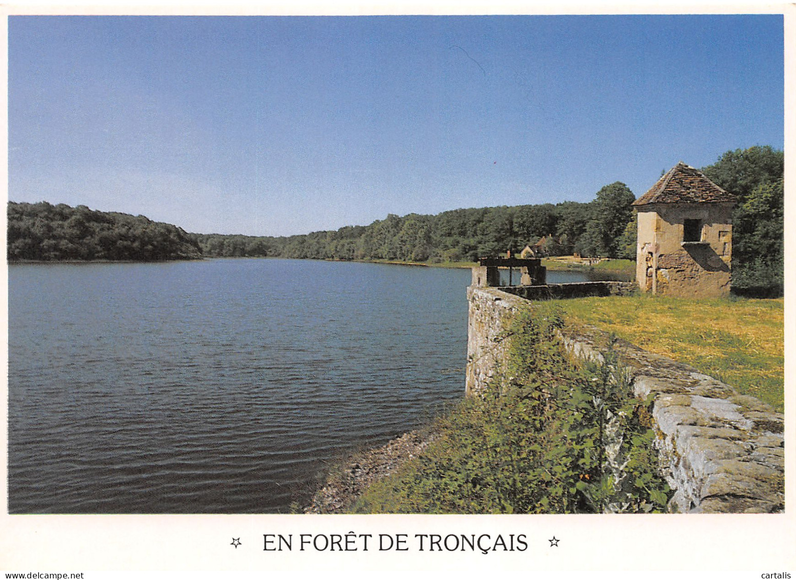 03-FORET DE TRONCAIS-N°3832-B/0161 - Other & Unclassified