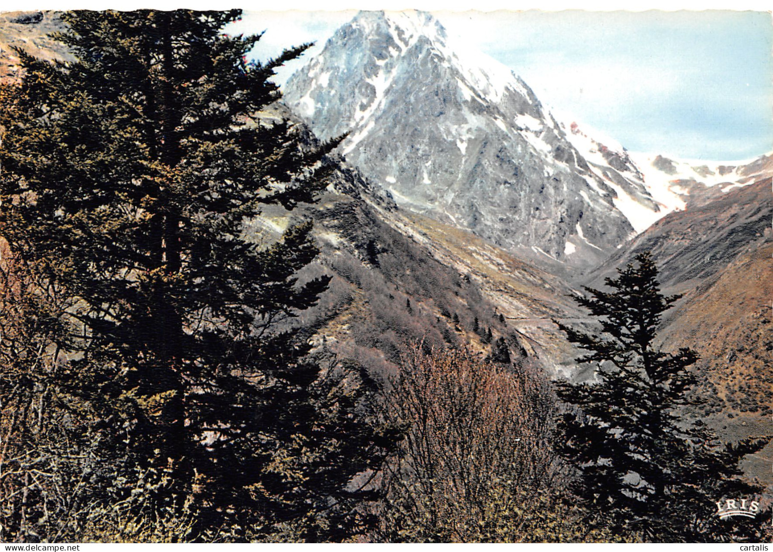 65-PIC DU MIDI DE BIGORRE-N°3833-B/0109 - Other & Unclassified