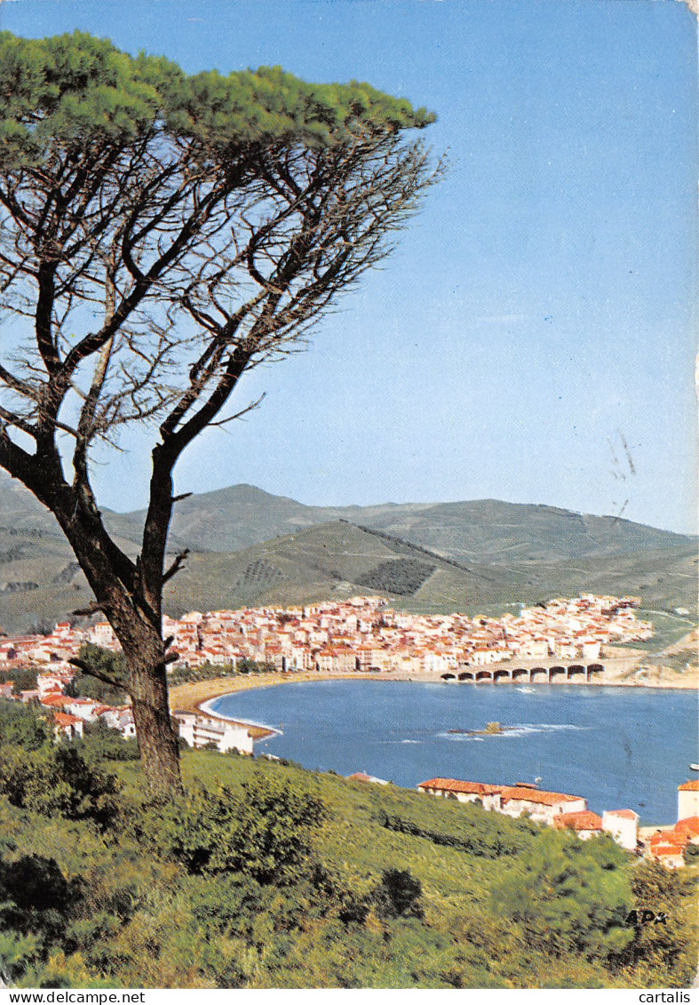 66-BANYULS SUR MER-N°3833-A/0019 - Banyuls Sur Mer