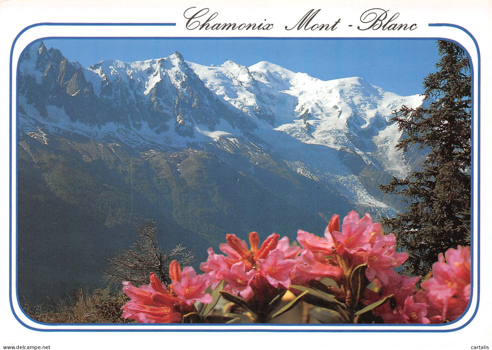 74-CHAMONIX-N°3833-A/0021 - Chamonix-Mont-Blanc