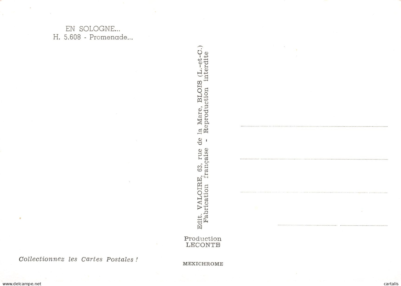 41-EN SOLOGNE-N°3833-D/0251 - Other & Unclassified