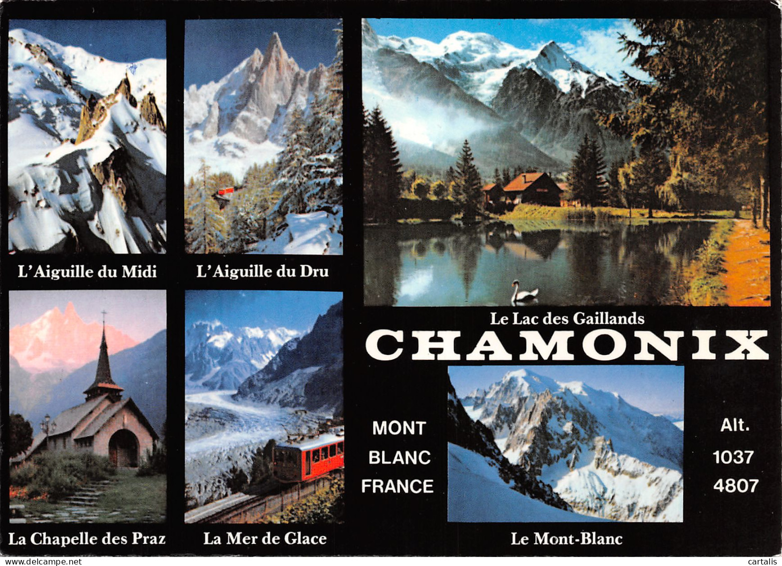 74-CHAMONIX-N°3833-D/0237 - Chamonix-Mont-Blanc