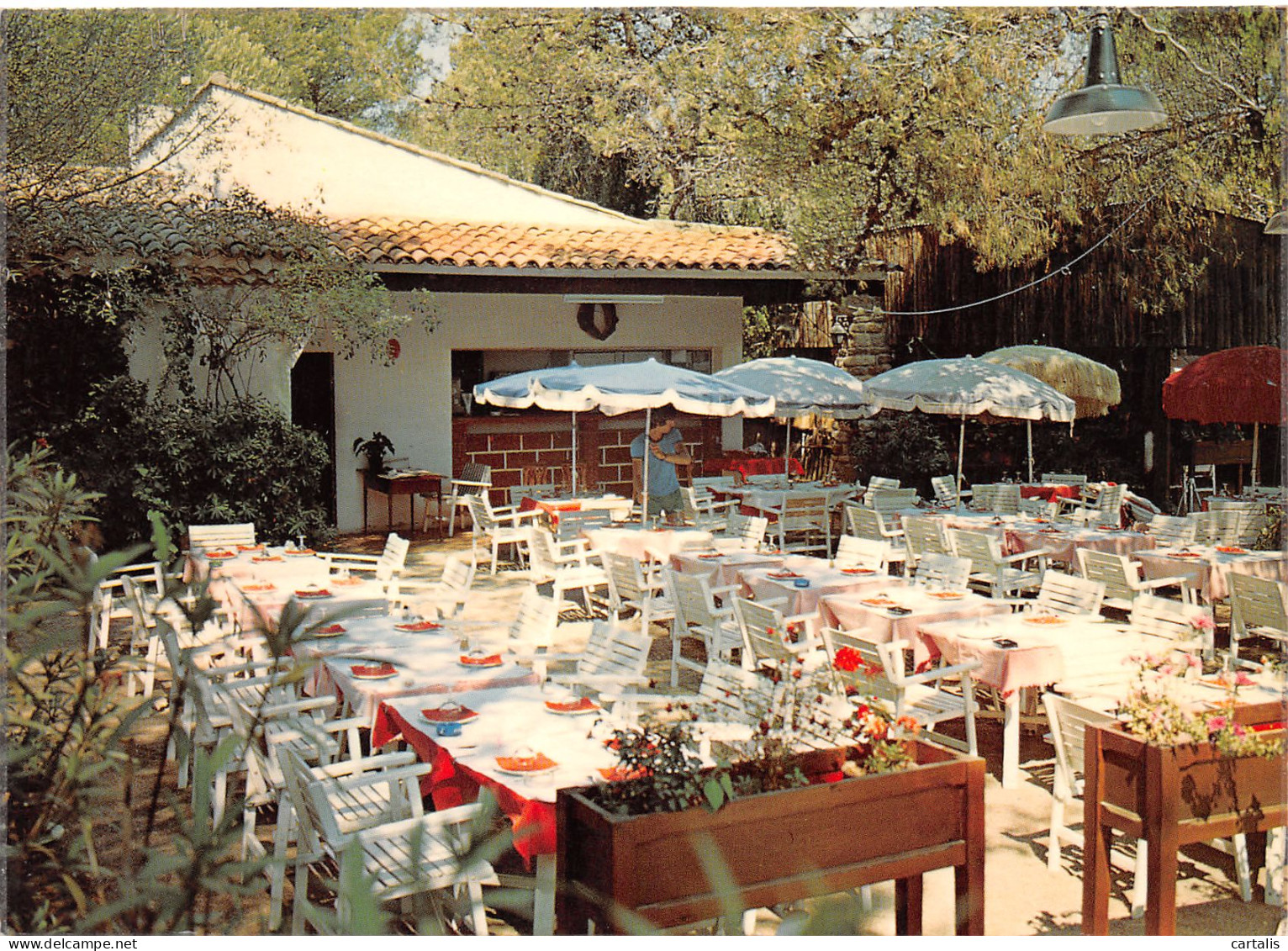 83-LA COTE D AZUR AUBERGE DU DOMAINE DU PIN-N°3833-C/0187 - Other & Unclassified