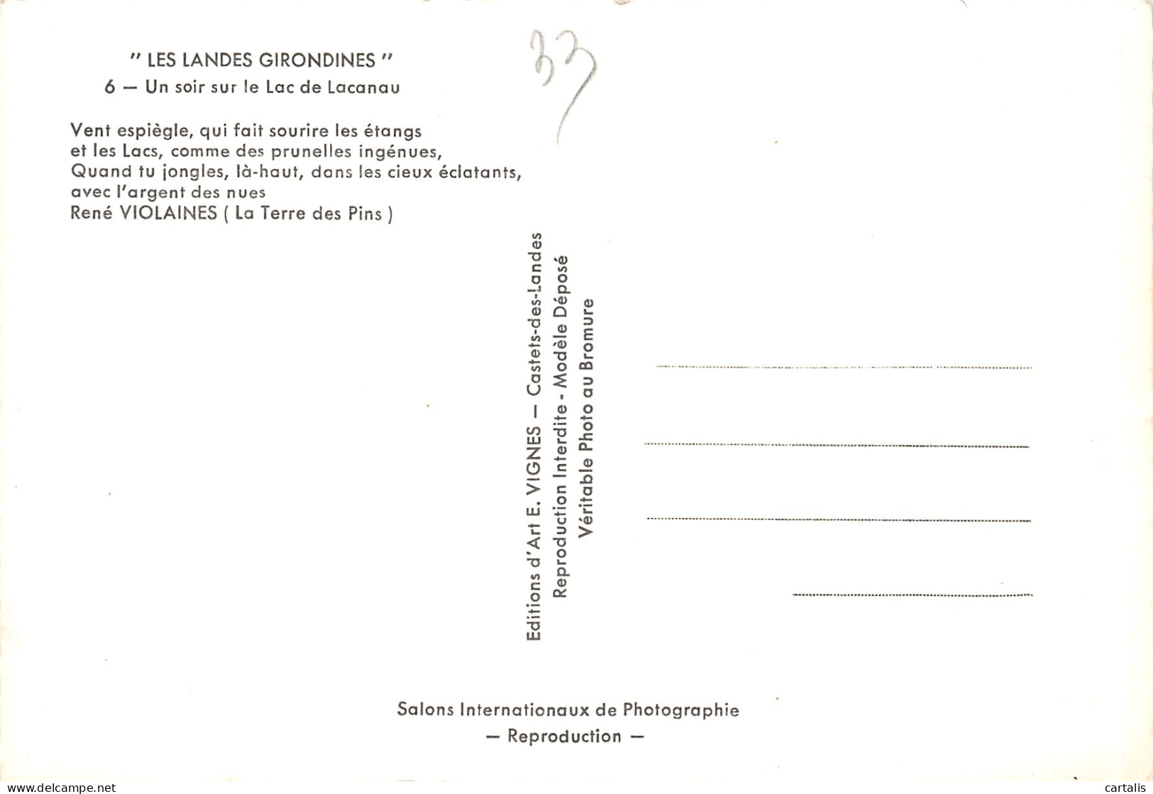 40-LES LANDES PAYSAGE-N°3833-C/0149 - Sonstige & Ohne Zuordnung