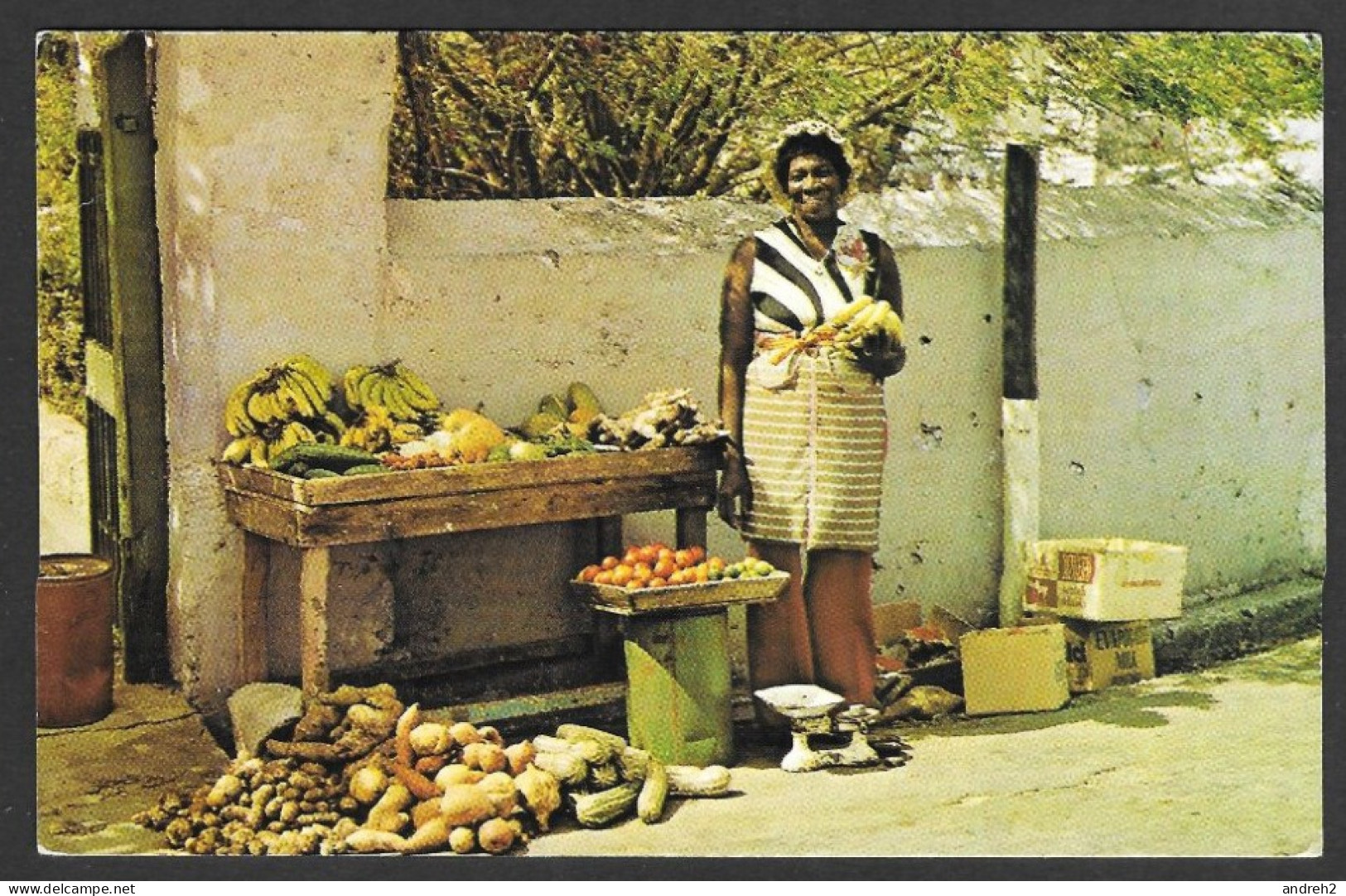 Barbados West Indies - Typical Vegetable Vendor - No: DT-21480-D - By Dexter - Barbados (Barbuda)