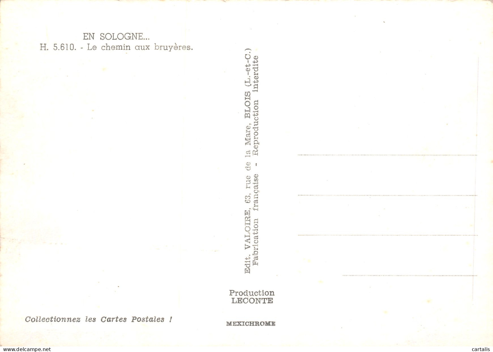 41-EN SOLOGNE-N°3833-B/0265 - Sonstige & Ohne Zuordnung