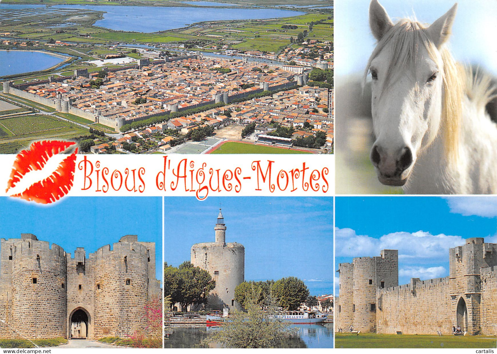 30-AIGUES MORTES-N°3834-B/0121 - Aigues-Mortes