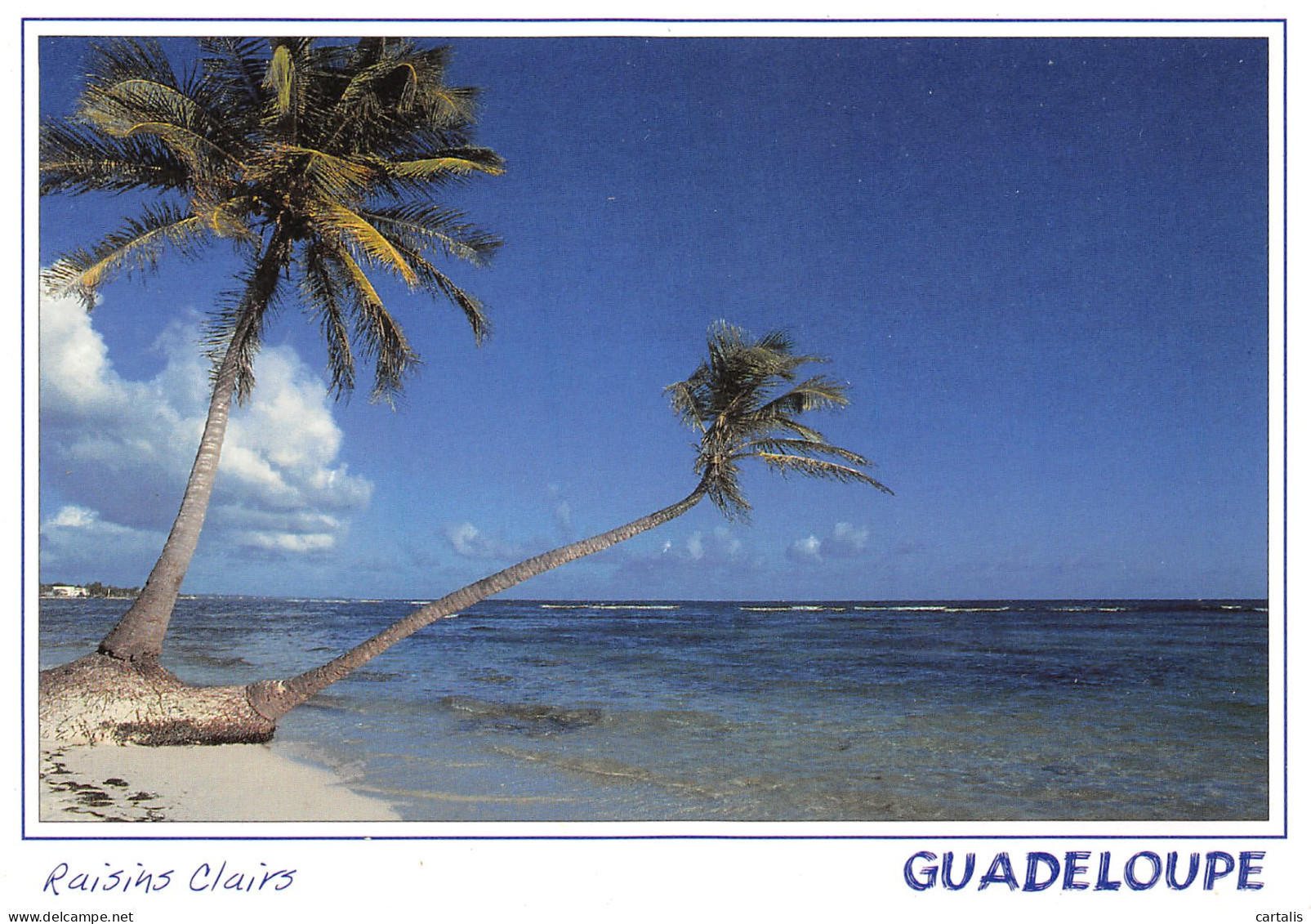 971-GUADELOUPE SAINT FRANCOIS-N°3833-D/0397 - Autres & Non Classés