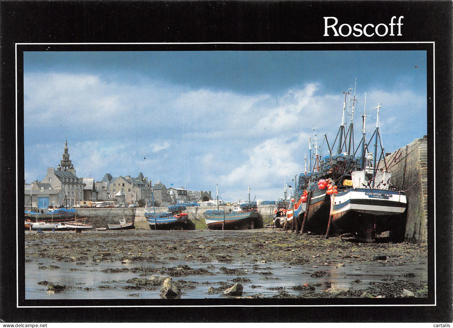 29-ROSCOFF-N°3834-C/0269 - Roscoff