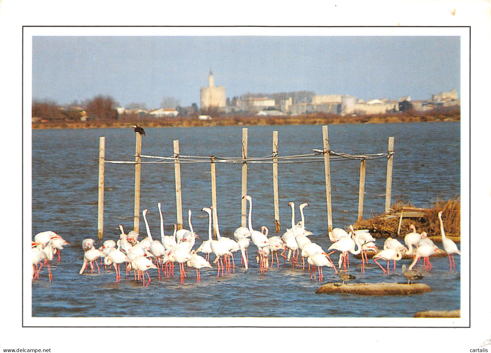 30-AIGUES MORTES-N°3835-A/0399 - Aigues-Mortes