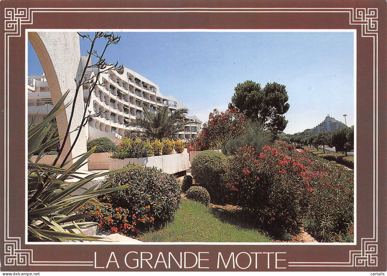 34-LA GRANDE MOTTE-N°3835-A/0393 - Other & Unclassified