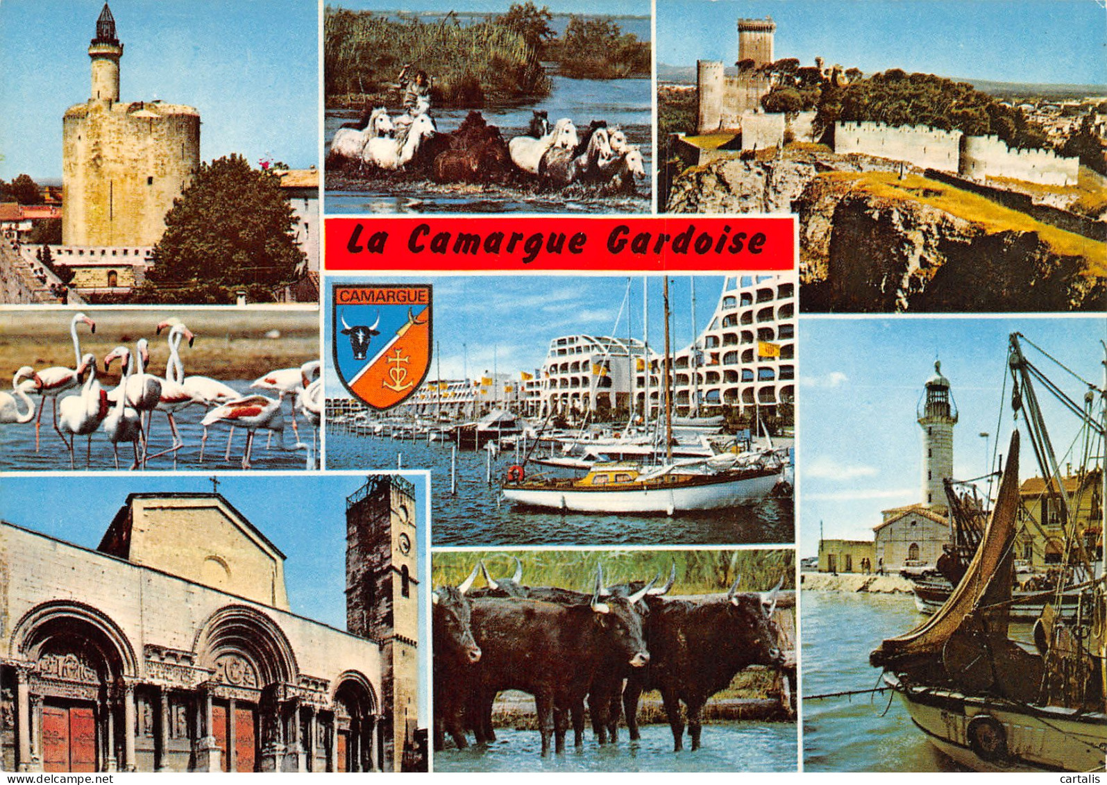 13-CAMARGUE-N°3835-A/0155 - Other & Unclassified