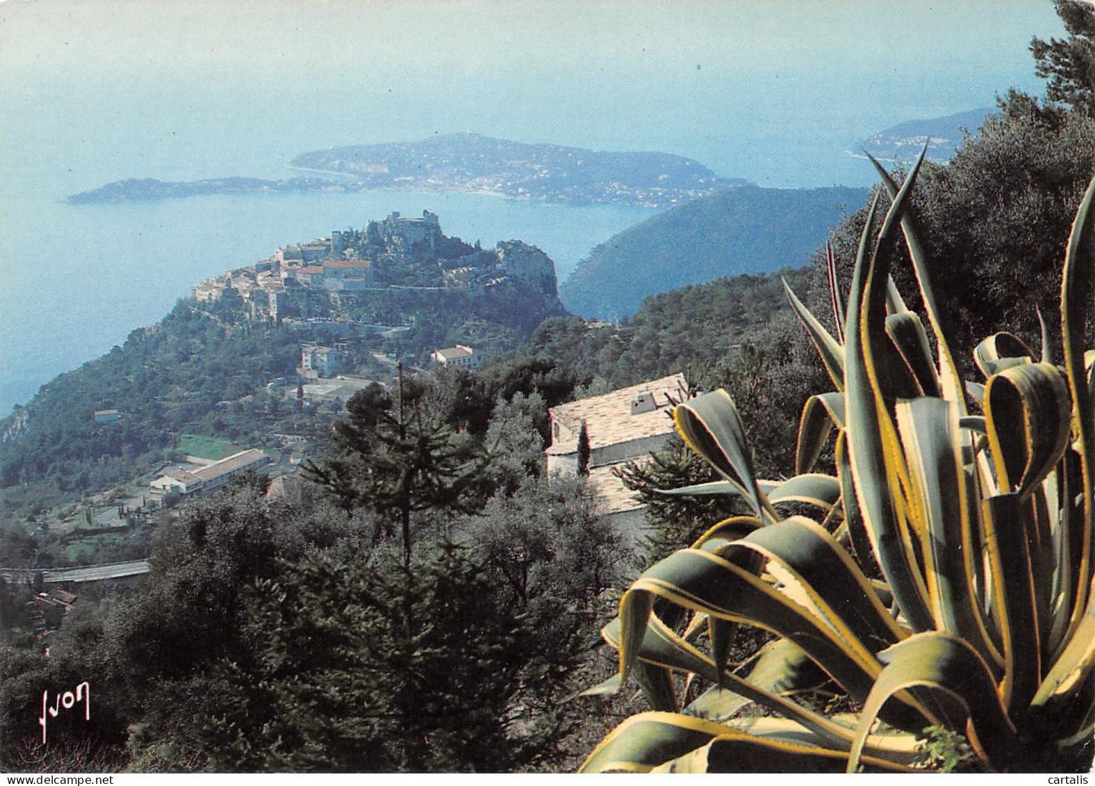 06-EZE-N°3835-A/0005 - Eze