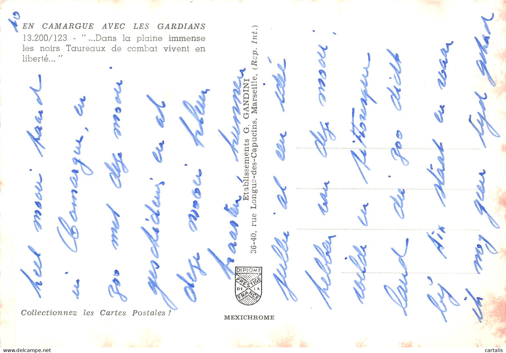 13-CAMARGUE-N°3835-C/0345 - Other & Unclassified