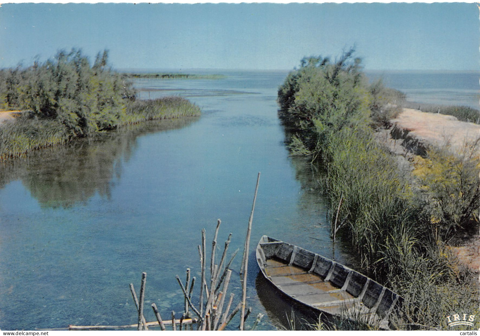 13-CAMARGUE-N°3835-C/0347 - Autres & Non Classés