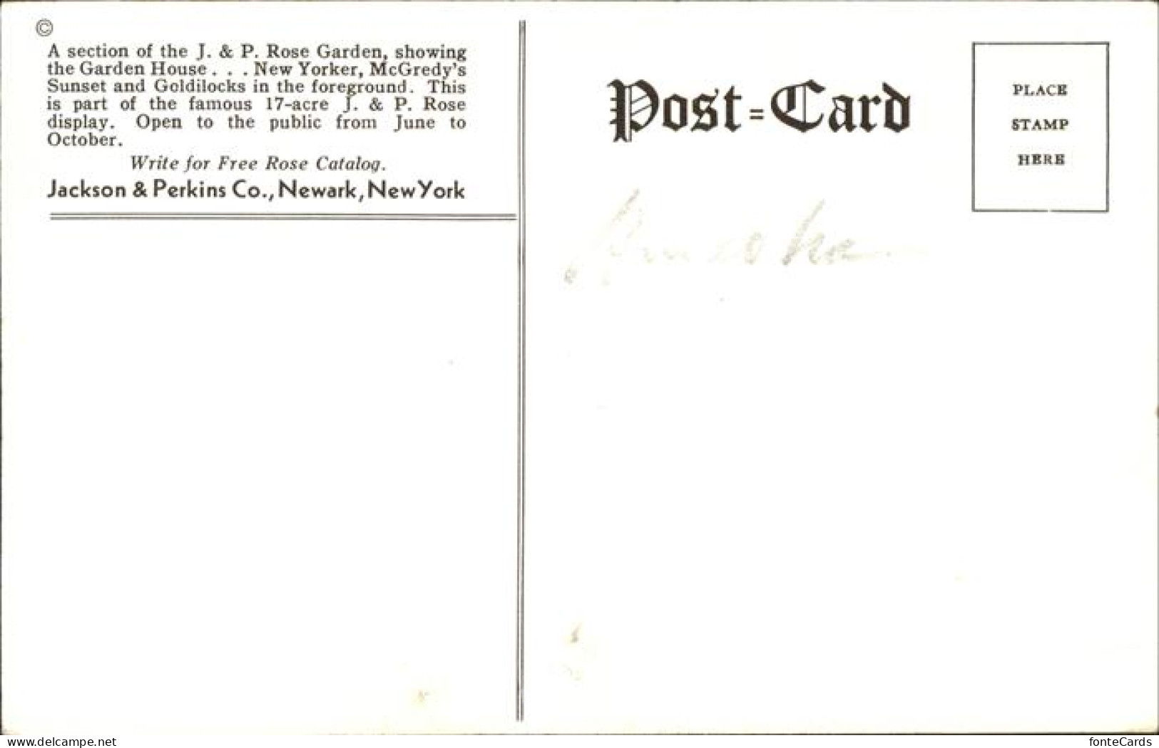 11328553 Newark_New_York Jackson & Perkins Co. Rose Garden - Andere & Zonder Classificatie