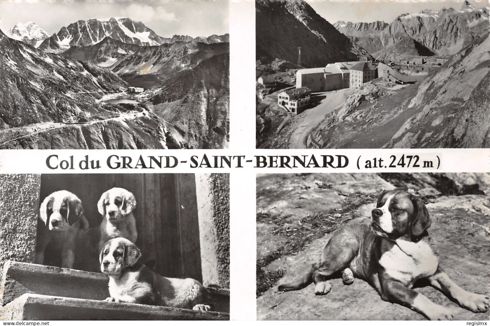 ET-SUISSE COL DU GRAND SAINT BERNARD-N°T2566-B/0341 - Bern