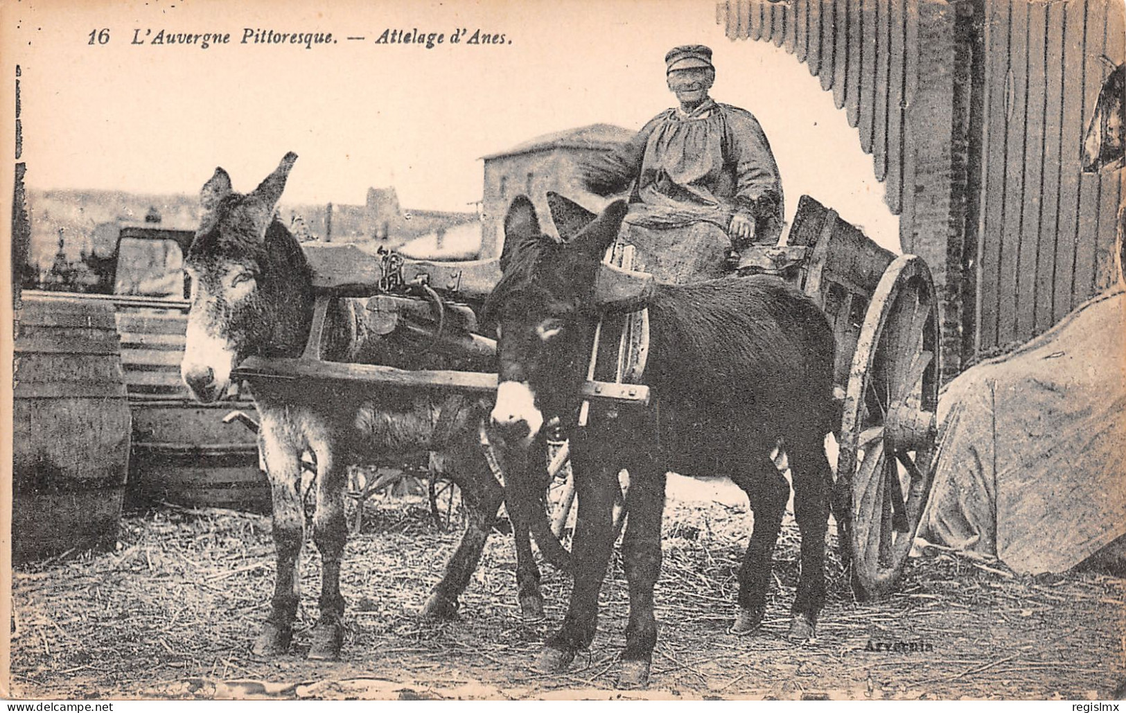 63-AUVERGNE FOLKLORE ATTELAGE D ANES-N°T2566-E/0141 - Andere & Zonder Classificatie