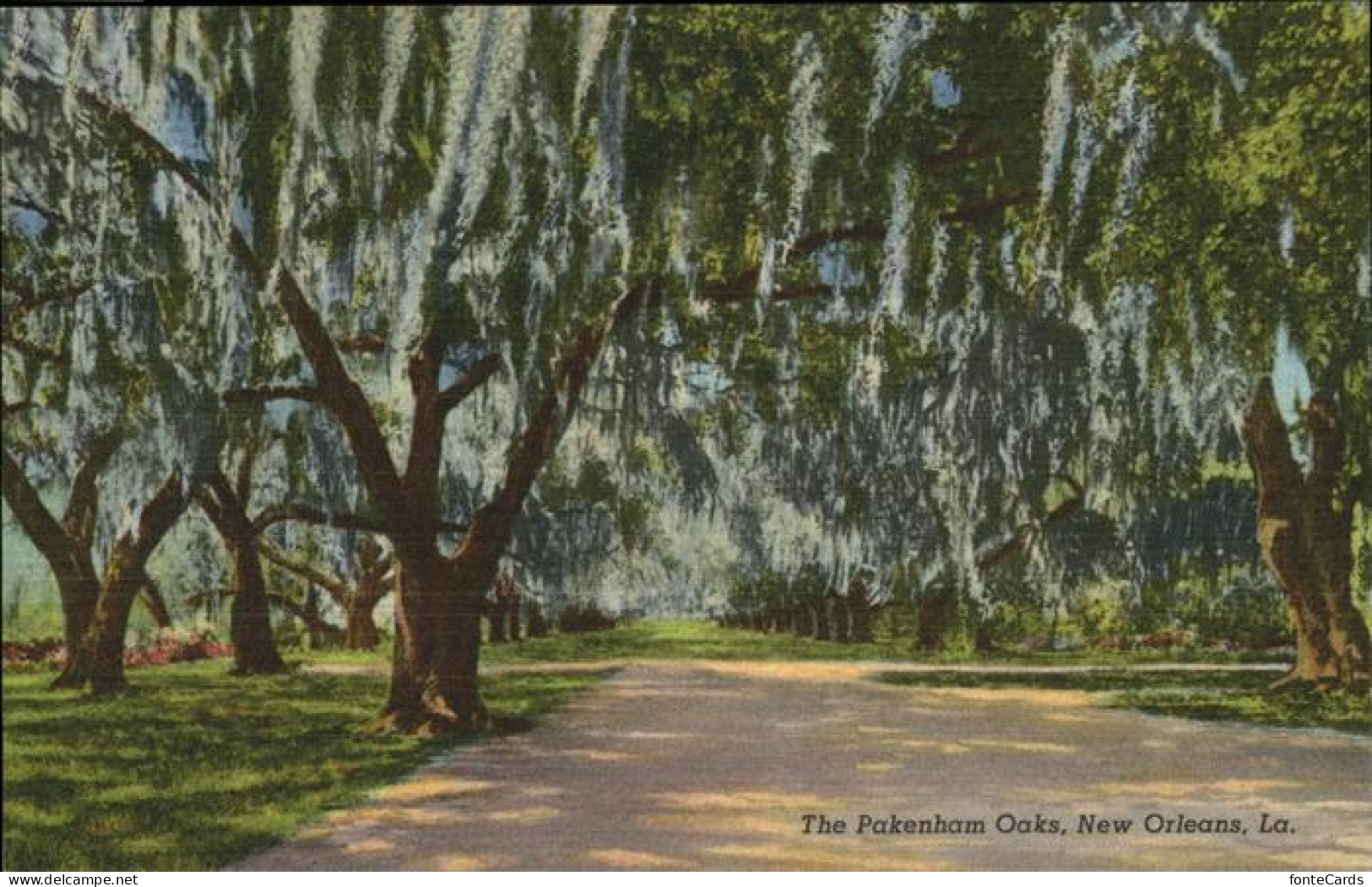 11328362 New_Orleans_Louisiana The Packenham Oaks - Andere & Zonder Classificatie