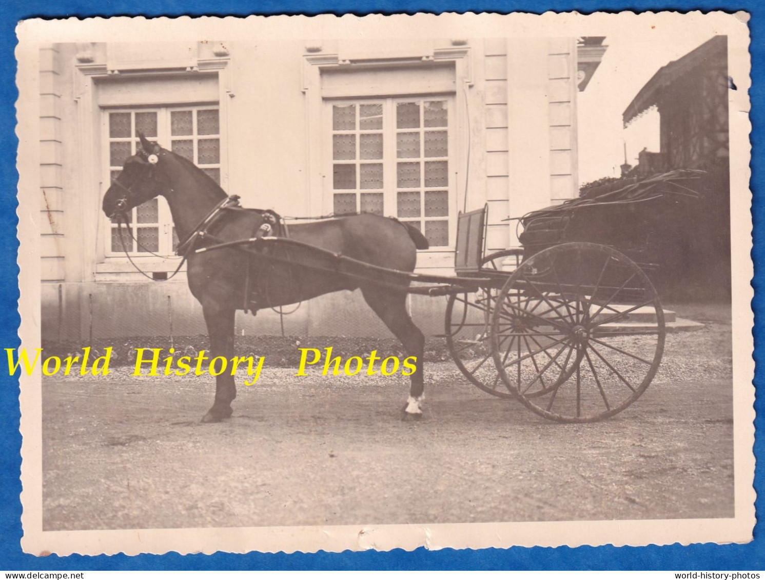 Photo Ancienne - SULLY Sur LOIRE Ou Environs - Bel Attelage , Chateau ? Belle Maison à Identifier - Caléche - Beroepen