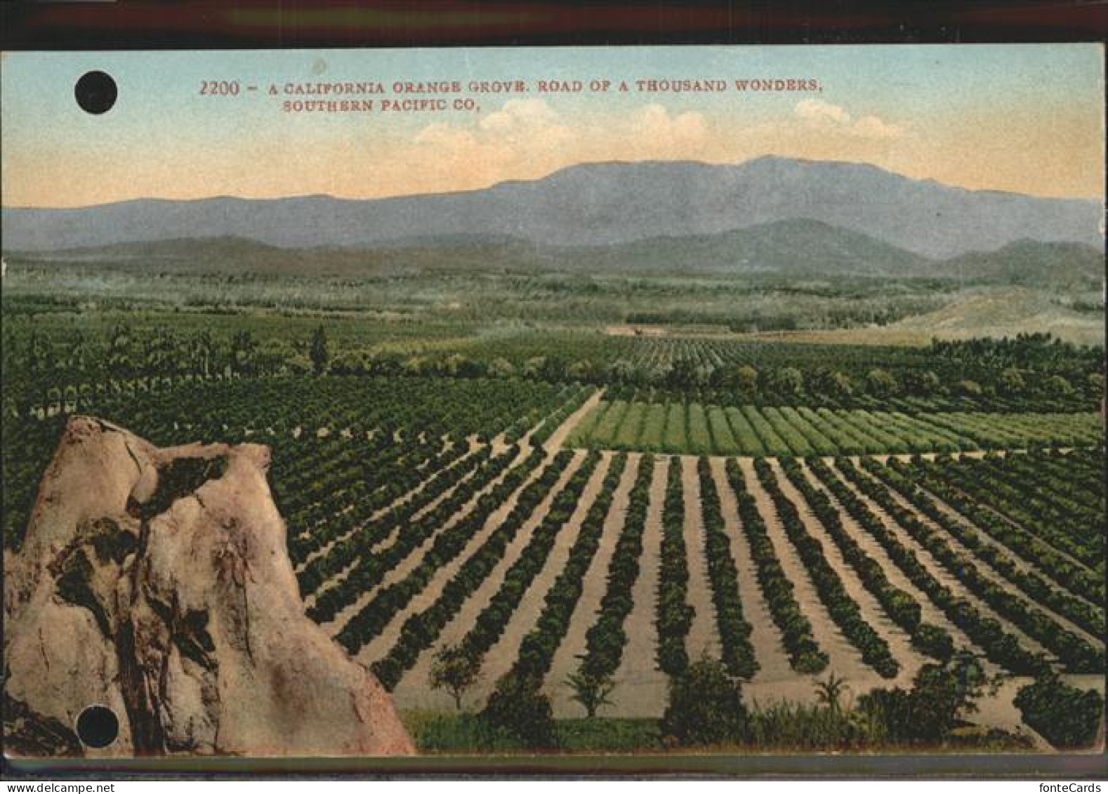 11326185 USA California Orange Grove United States - Sonstige & Ohne Zuordnung