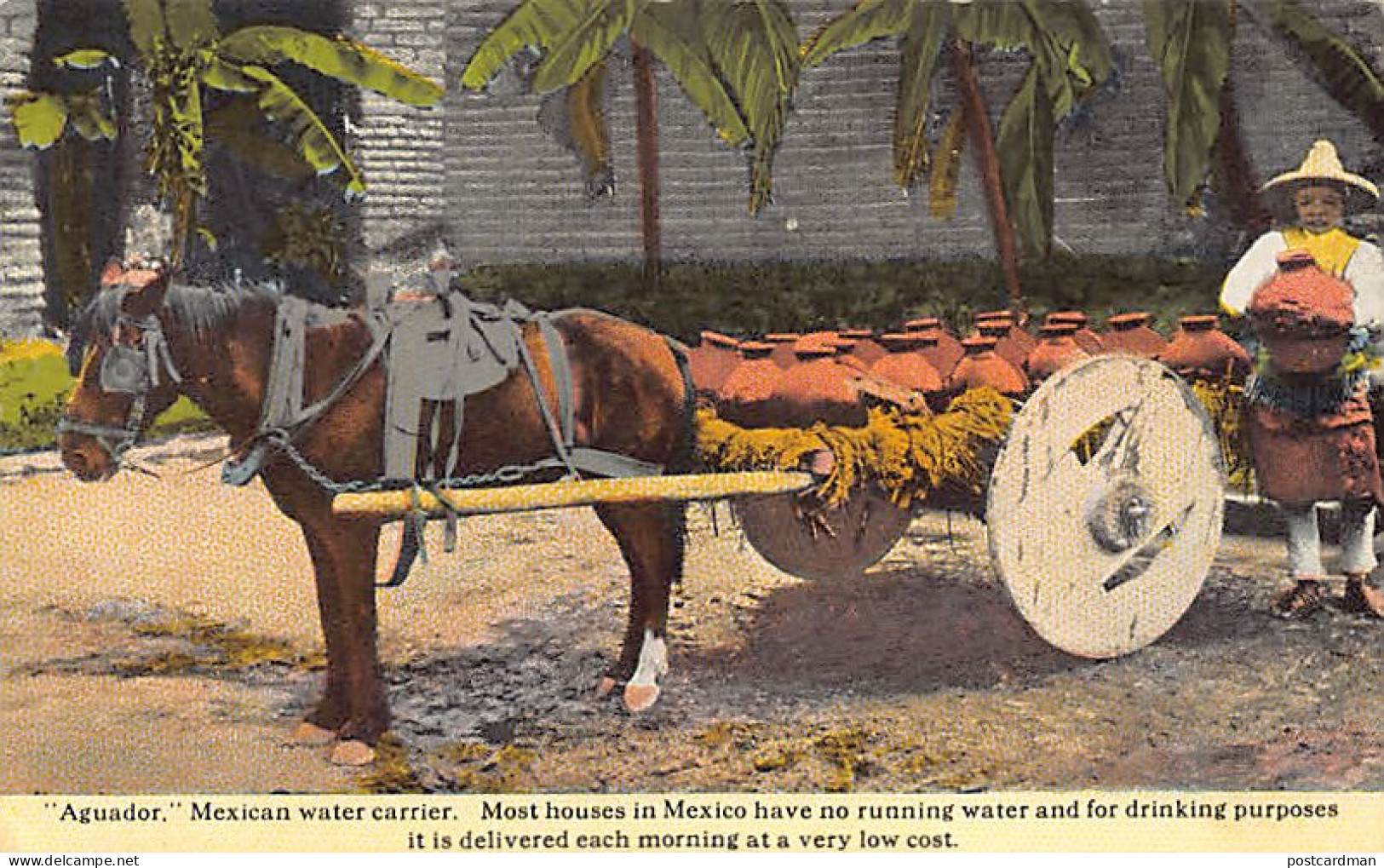 México - Aguador - Mexican Water Carrier - Ed. C. T. Photochrom 2105 - Mexico