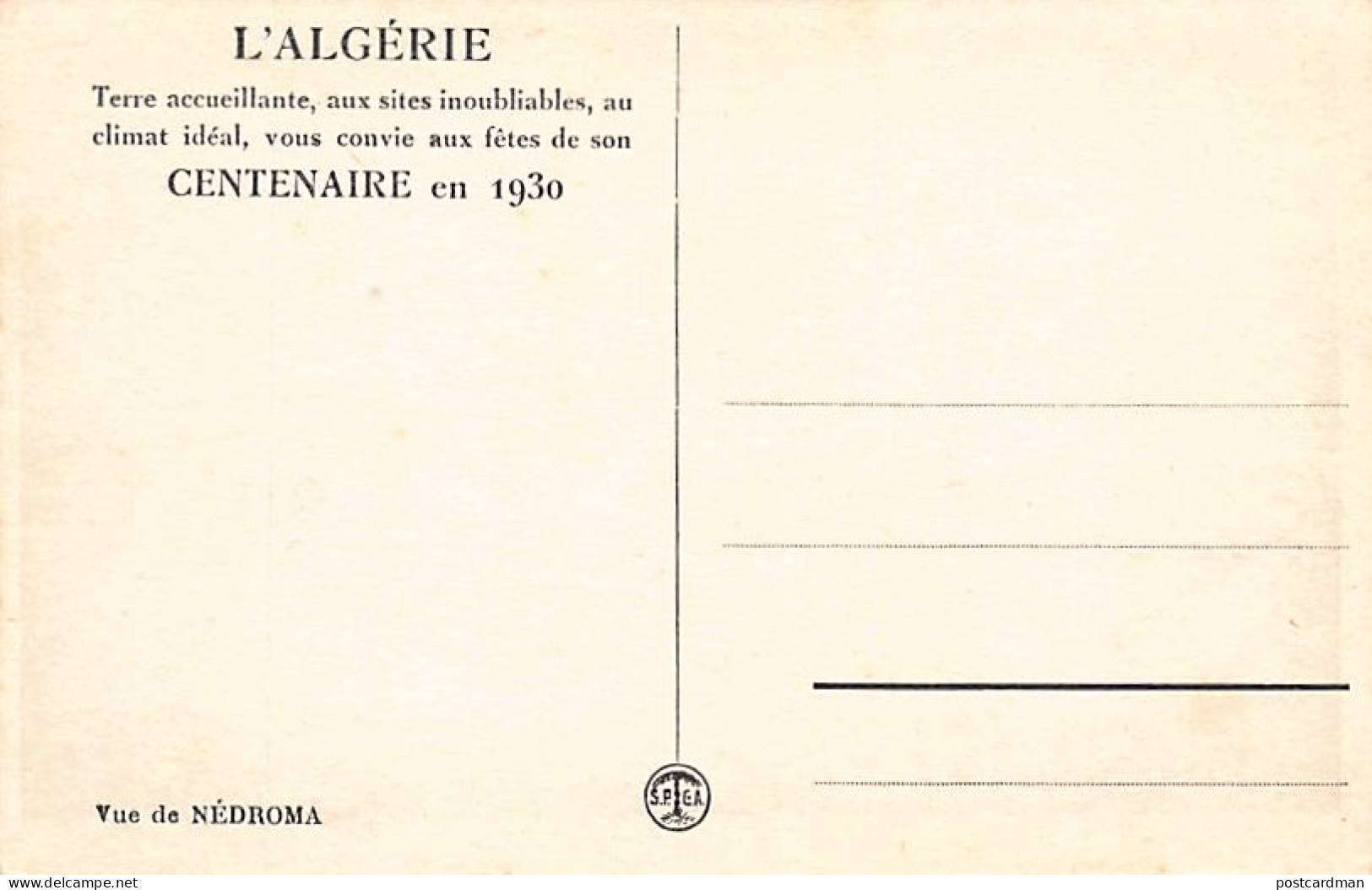 NÉDROMA - Vue Générale - Autres & Non Classés