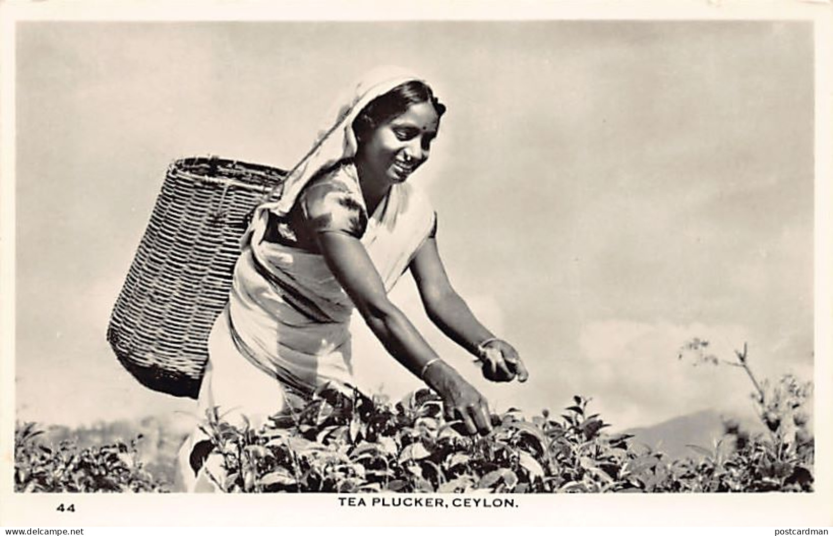 Sri Lanka - Tea Plucker - Publ. Ceylon Pictorials 44 - Sri Lanka (Ceylon)