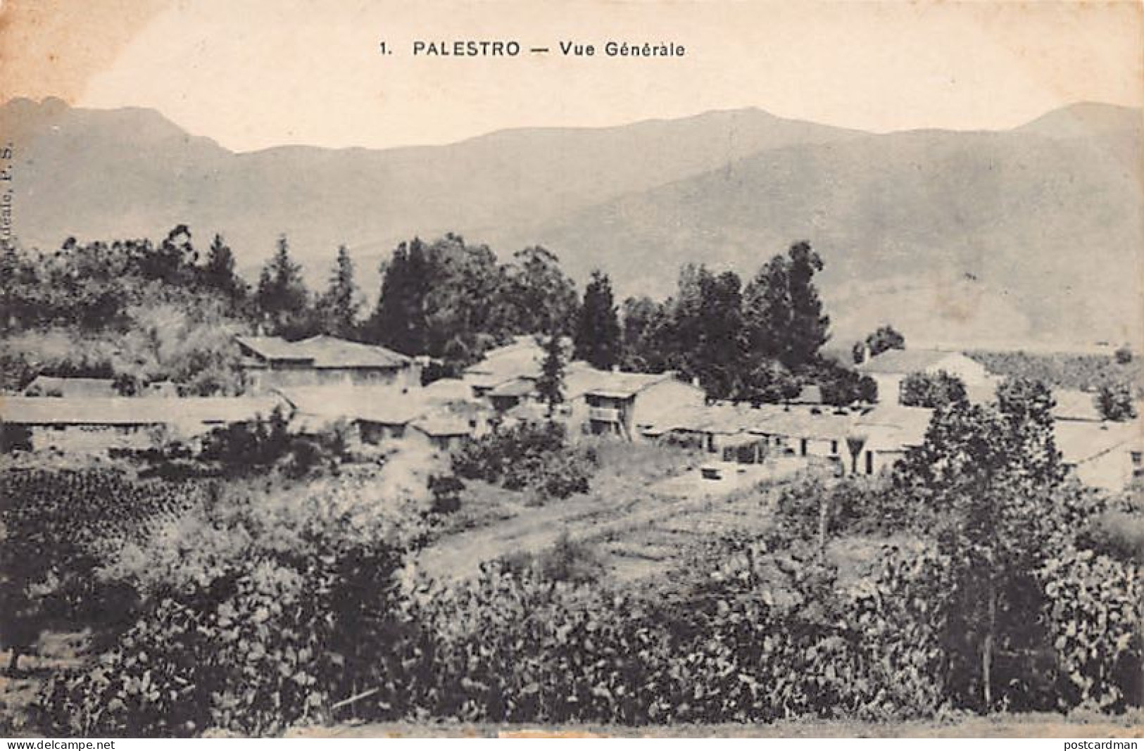 Algérie - PALESTRO Lakhdaria - Vue Générale - Ed. Collection Idéale P.S. 1 - Sonstige & Ohne Zuordnung