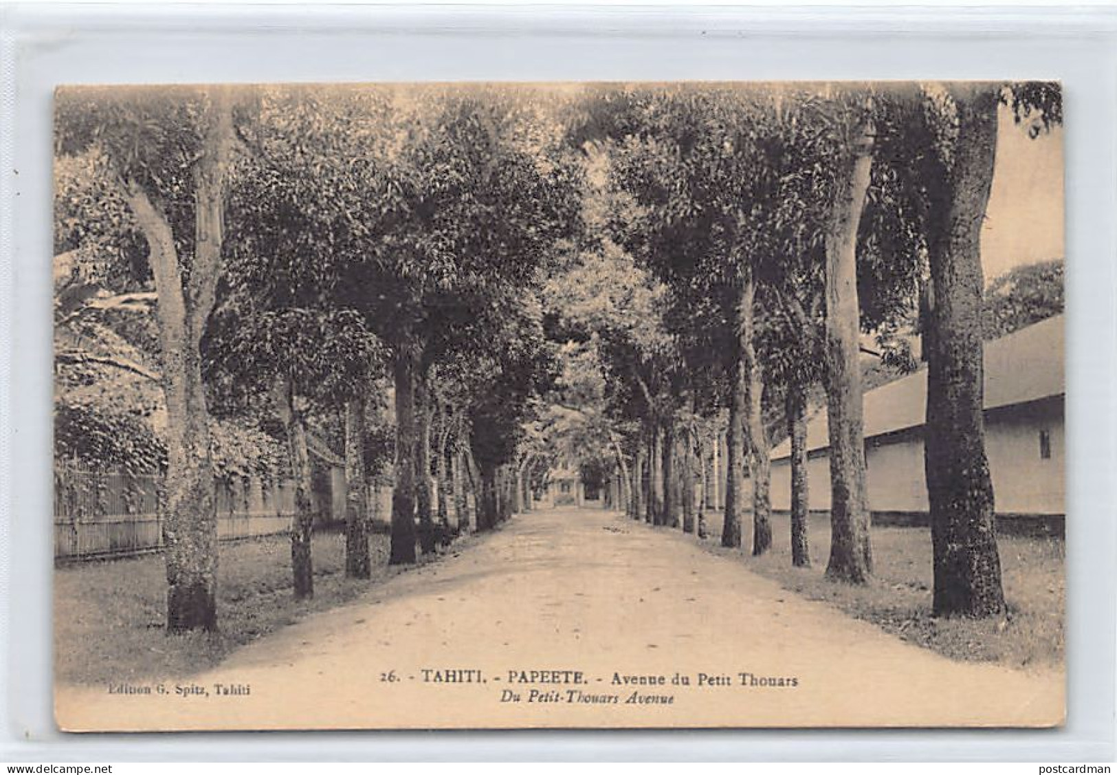 Polynésie - PAPEETE - Avenue Du Petit Thouars - Ed. G. Spitz 26 - Polynésie Française